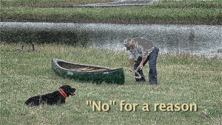 NO for a reason